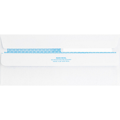Business Source Double Window No. 8-5/8 Check Envelopes (BSN04650)