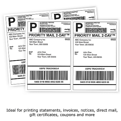 PrintWorks Professional Pre-Perforated Paper for Statements, Tax Forms, Bulletins, Planners & More (PRB04116)