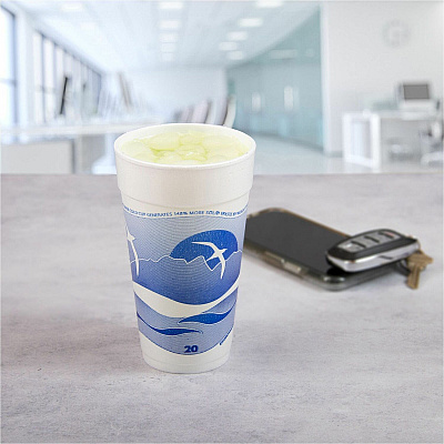 Dart 20 oz Horizon Design Foam Cups (DCC20J16H)