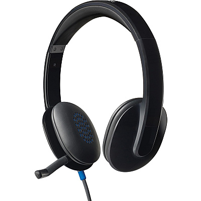 Logitech H540 USB Headset (LOG981000510)