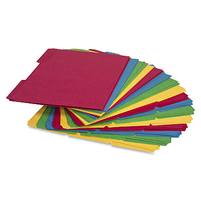 Business Source 1/3 Tab Cut Letter Recycled Top Tab File Folder (BSN16517)