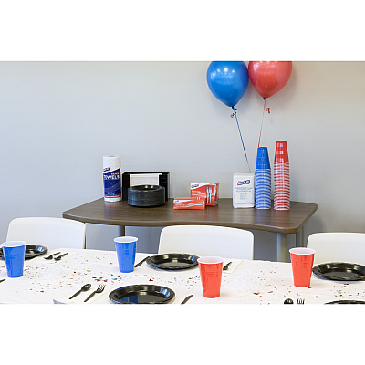 Genuine Joe 16 oz Party Cups (GJO11250)