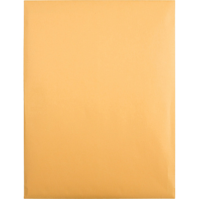 Quality Park 10 x 13 Hi Bulk Catalog Envelopes with Self-Seal Closure (QUA41620)