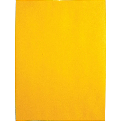 Quality Park 9 x 12 Catalog Mailing Envelopes with Redi-Strip Self Seal Closure (QUA41420)