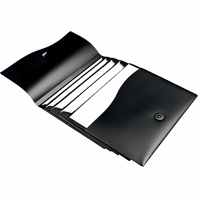 Avery Letter Expanding File (AVE73517)