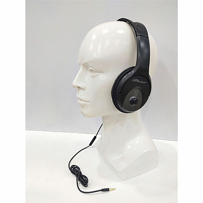 Compucessory Stereo Headset with Built-in Microphone (CCS15153)