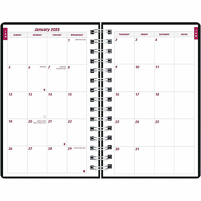 Brownline DuraFlex Daily Appointment Book / Monthly Planner (CB634VBLK)