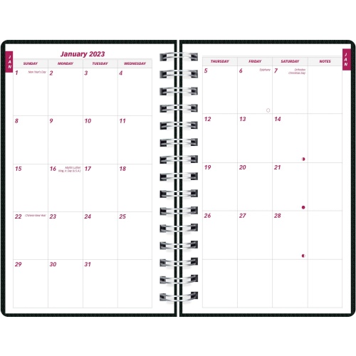 Brownline DuraFlex Daily Appointment Book / Monthly Planner (CB634VBLK)