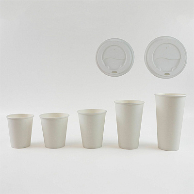 Genuine Joe 8 oz Disposable Hot Cups (GJO19045CT)