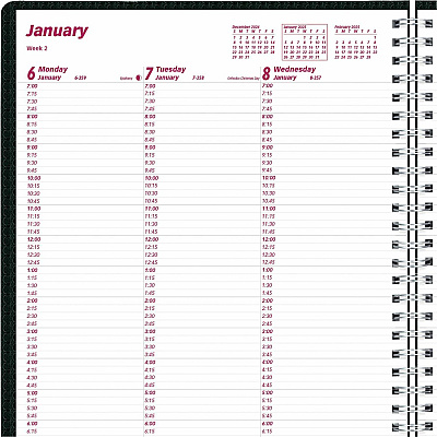 Brownline DuraFlex Weekly Planner (CB950VBLK)