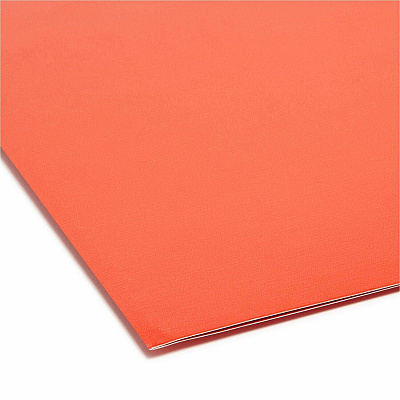 Smead Organized Up Heavyweight Vertical File Folder (SMD75406)