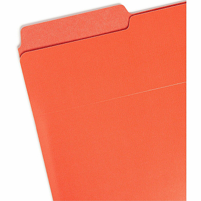 Smead Organized Up Heavyweight Vertical File Folder (SMD75406)