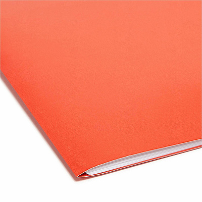 Smead Organized Up Heavyweight Vertical File Folder (SMD75406)