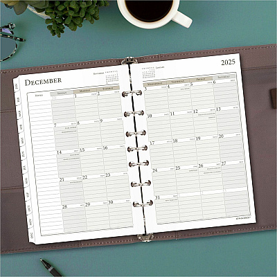 At-A-Glance Daily Planner One Page Per Day Refill, Loose-Leaf, Desk Size (481125)