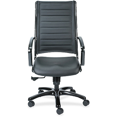 Eurotech Europa Titanium Frame Executive Chair (LE111TNM)