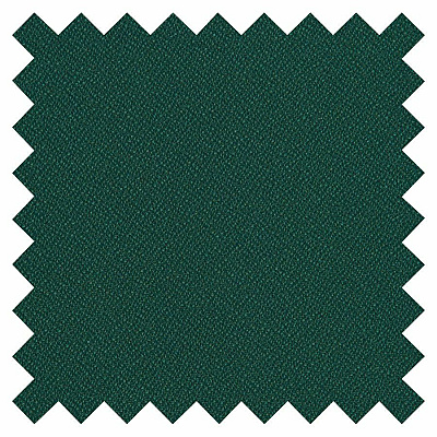 Eurotech Dakota 8011 Guest Chair (801142)