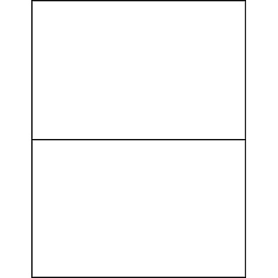 Business Source Shipping Labels (BSN26161)