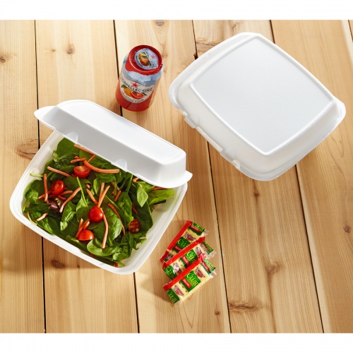 Dart Large 1-Compartment Carryout Foam Trays (90HT1R)