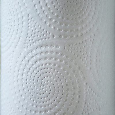 Genuine Joe Kitchen Roll Flexible Size Towels (GJO24081)