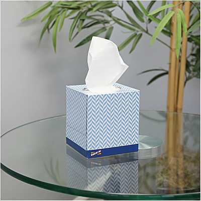 Genuine Joe Cube Box Facial Tissue (GJO26085)