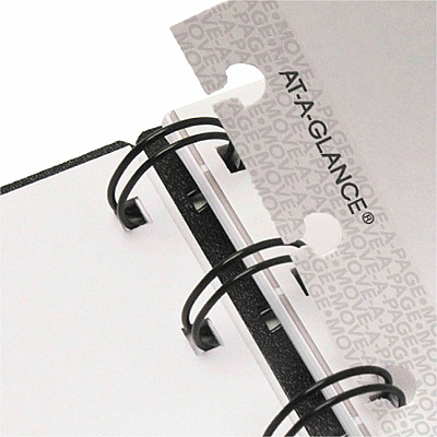 At-A-Glance Move-A-Page Weekly/Monthly Appointment Book (70950E05)