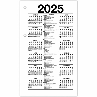 At-A-Glance Recycled Loose-Leaf Desk Calendar Refill (E717R50)