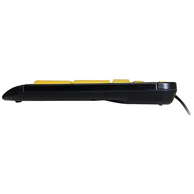 Adesso Easyview 4x Large Print Desktop Usb Keyb (AKB132UY)
