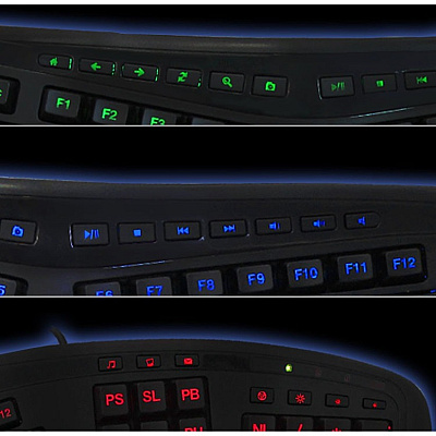 Adesso 3colors Illuminated 2x Usb Keyboard (AKB150EB)