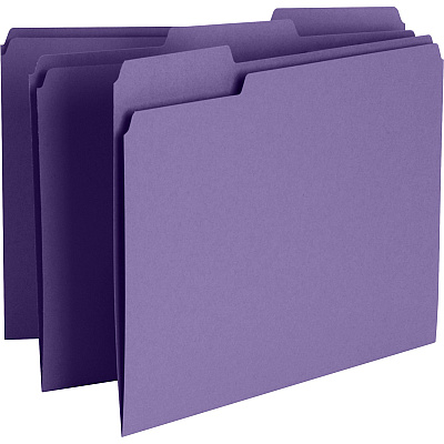 Business Source 1/3 Tab Cut Recycled Top Tab File Folder (BSN44106)