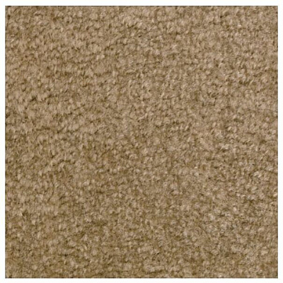 Carpets for Kids Solid Color Mt. St. Helens Carpet Rug (2169108)