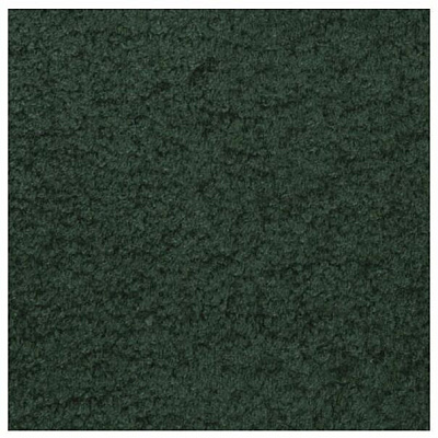 Carpets for Kids Solid Color Mt. St. Helens Carpet Rug (2169306)