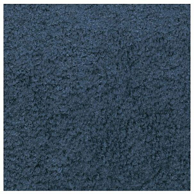 Carpets for Kids Solid Color Mt. St. Helens Carpet Rug (2169405)