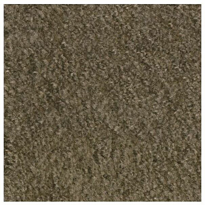 Carpets for Kids Solid Color Mt. St. Helens Carpet Rug (2169703)