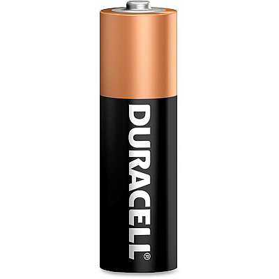 Duracell Coppertop Alkaline AA Batteries (DUR01501)