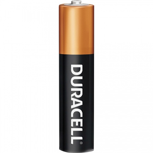 Duracell Coppertop Alkaline AAA Batteries (02401)