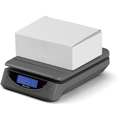 Brecknell PS25 Electronic Scale (SBWPS25GRAY)
