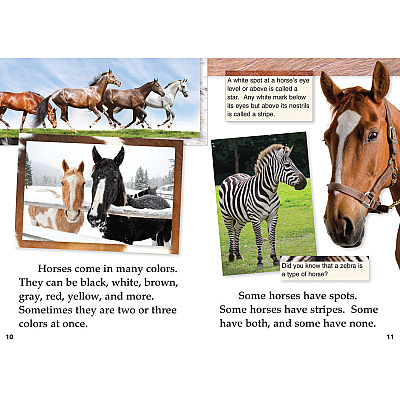 Shell Education TFK Early Fluent 2nd-Grade Book Set 1 Printed Book (16101)