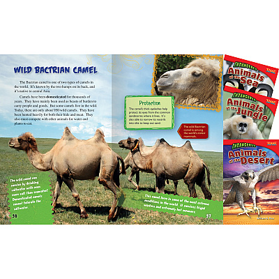 Shell Education TFK Challenging 5th-Grade Book Set 2 Printed Book (18254)