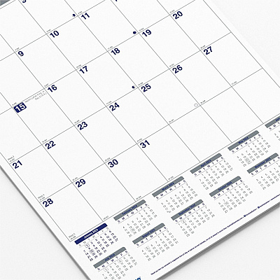 Blueline Net Zero Carbon Wall Calendar (C171303)