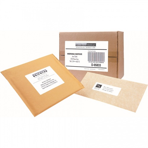 Avery Shipping Labels - TrueBlock Technology (95900)