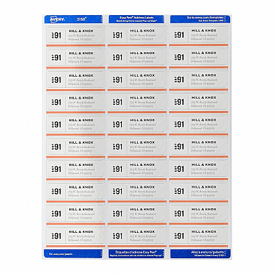 Avery TrueBlock White Shipping Labels (AVE95915)