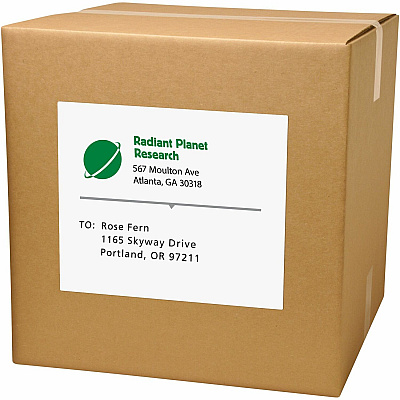Avery Shipping Address Labels, 250 Labels, Full Sheet Labels, Permanent (AVE95920)