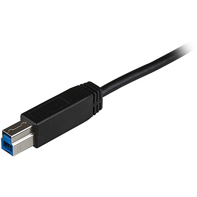 StarTech Printer Cable Usb C To Usb B 1m Usb 3.1 (USB31CB1M)