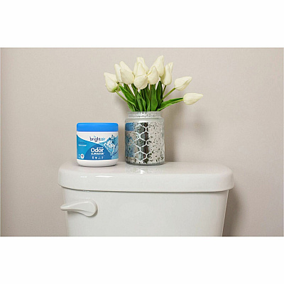 BRIGHT Air Super Odor Eliminator Air Freshener (BRI900090CT)