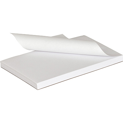 Business Source Plain Memo Pads (BSN65900CT)