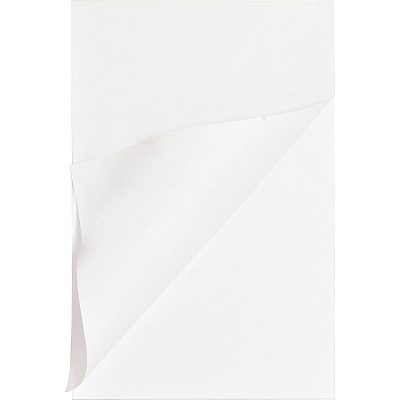 Business Source Plain Memo Pads (BSN65901CT)