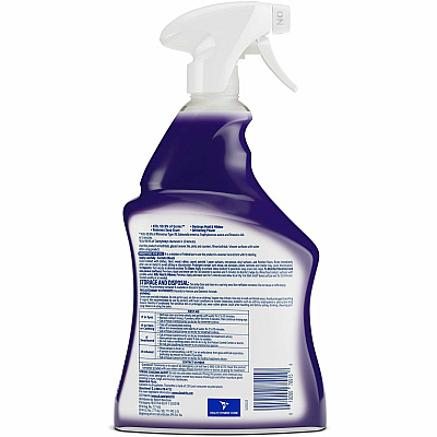 LYSOL Mold/Mildew Remover (RAC78915)