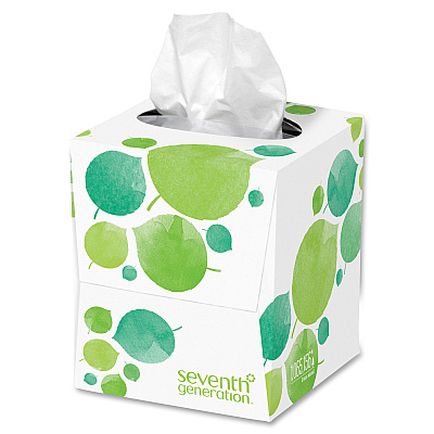 Seventh Generation 100% Recycled Facial Tissues (SEV13719CT)