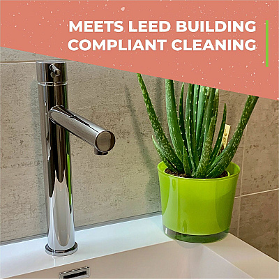 Simple Green Clean Building Bathroom Cleaner (SMP11101CT)