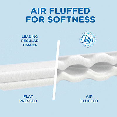 Puffs Basic Facial Tissues (PGC87615PK)